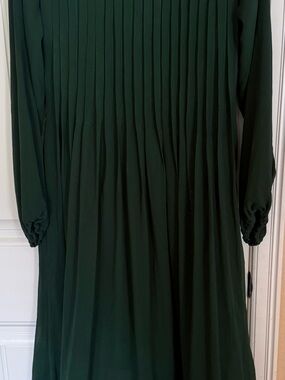 Long Sleeve Pleated Midi Dress in Forest Green rarely worn size medium